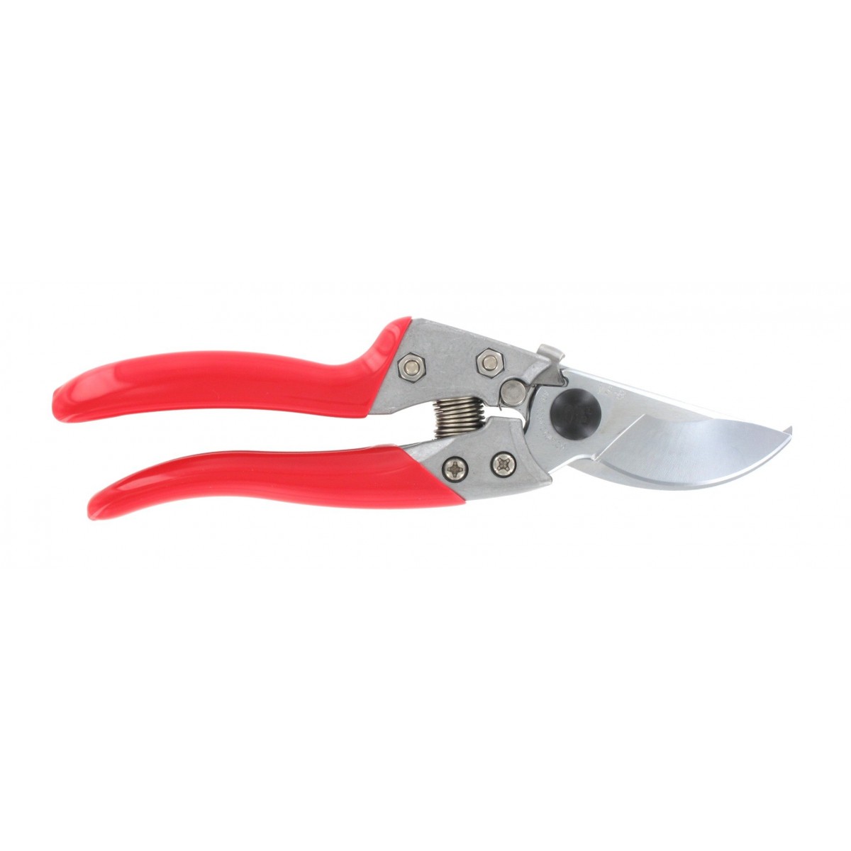 Japāņu zaru šķēres ARS VS8XZ