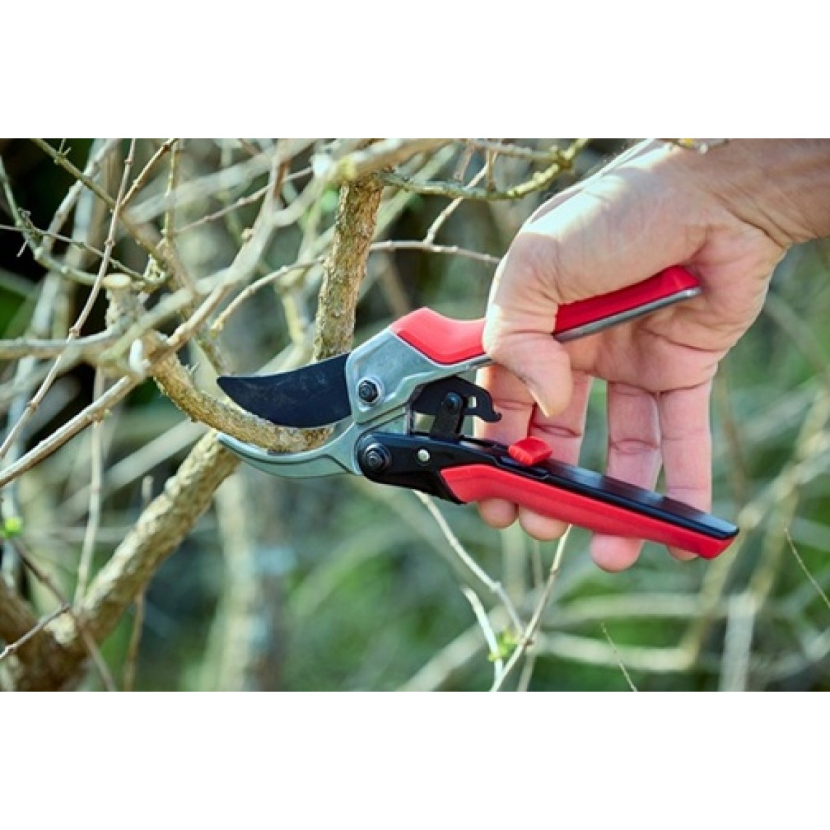 Zaru šķēres Bellota 3411 ar sprūdrata mehānismu